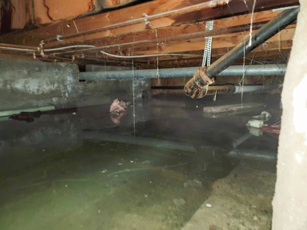 Local water damage restoration in Littlestown, PA