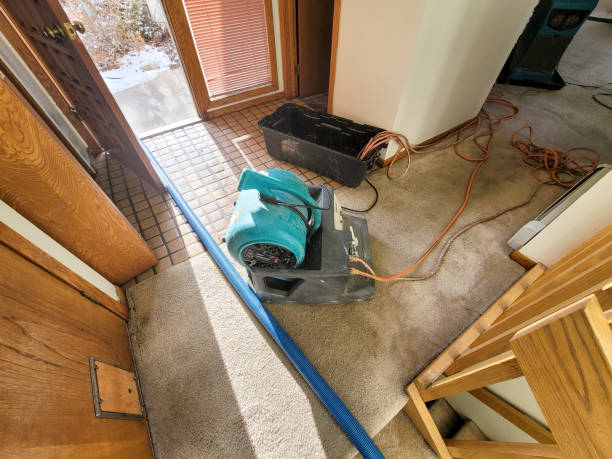 Best Water damage restoration near me  in Littlestown, PA