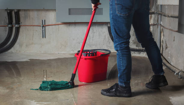 Best 24-hour water damage restoration  in Littlestown, PA
