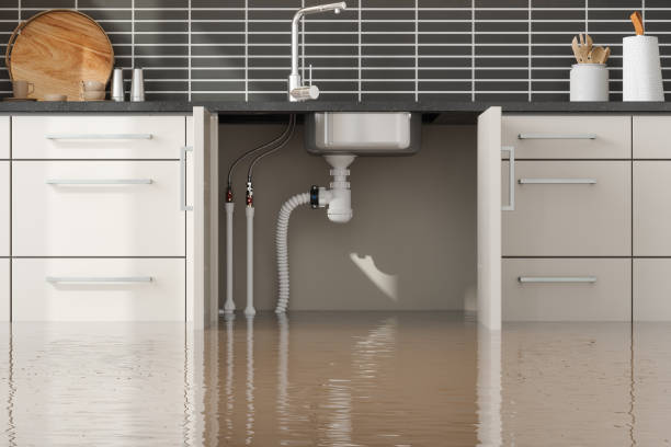 Best Ceiling water damage repair  in Littlestown, PA