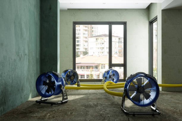 Best Water damage contractors near me  in Littlestown, PA